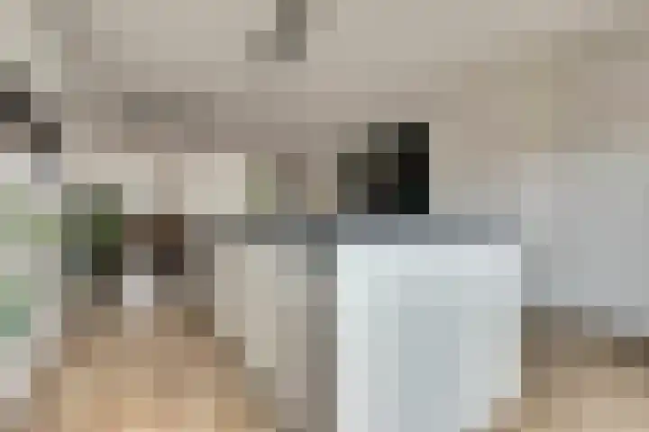 Ticheldreef 131 Druten thumbnail 12