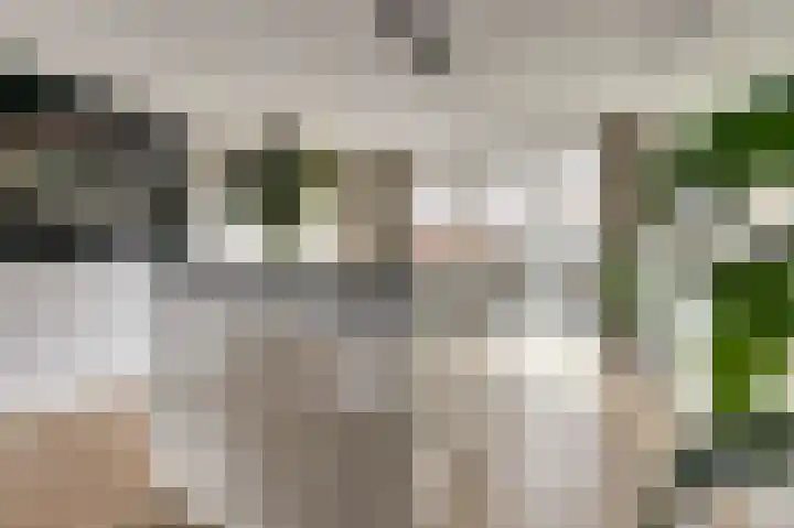 Ticheldreef 131 Druten thumbnail 13