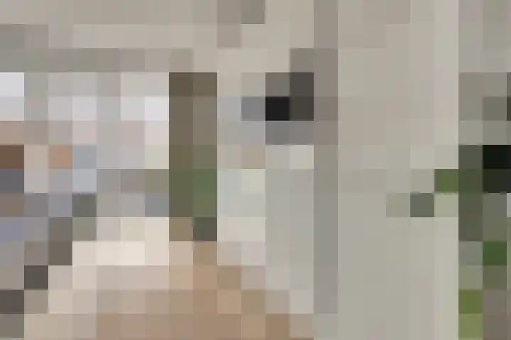 Ticheldreef 131 Druten thumbnail 14