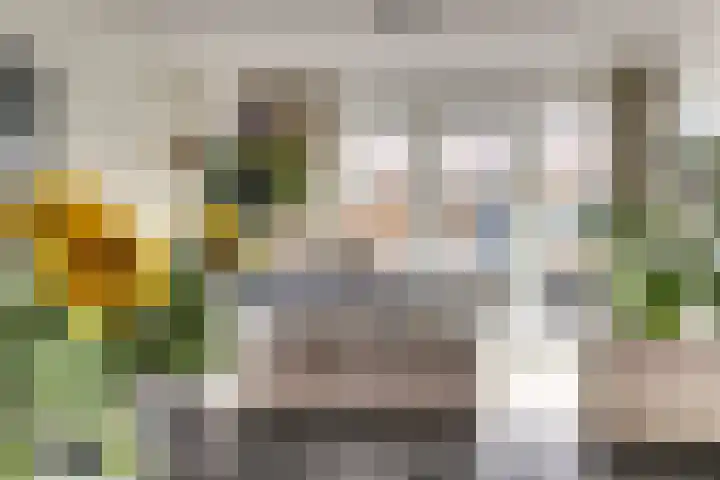 Ticheldreef 131 Druten thumbnail 16