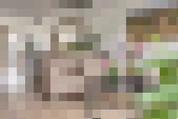 Ticheldreef 131 Druten thumbnail 17