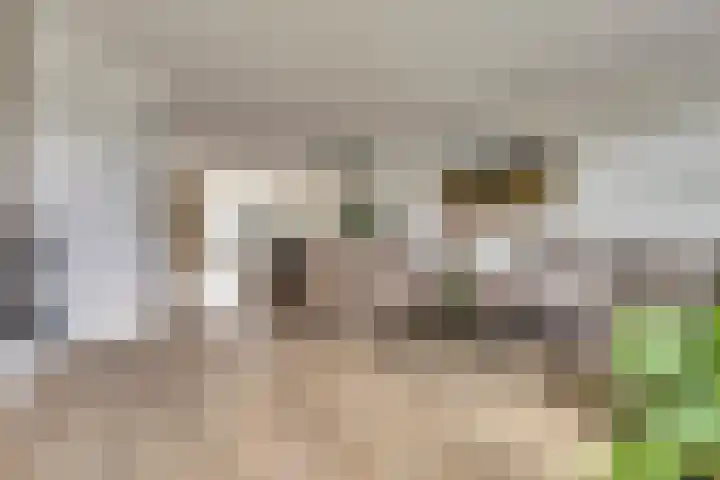 Ticheldreef 131 Druten thumbnail 18