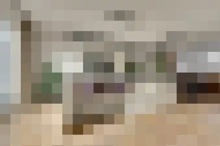 Ticheldreef 131 Druten thumbnail 19