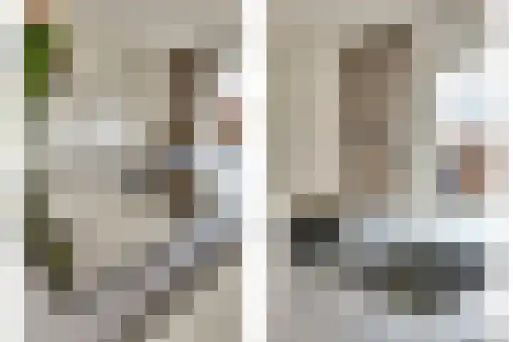 Ticheldreef 131 Druten thumbnail 20