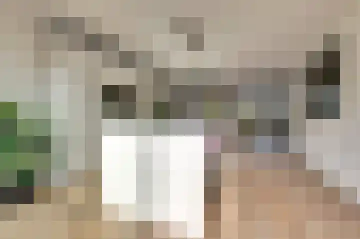 Ticheldreef 131 Druten thumbnail 22