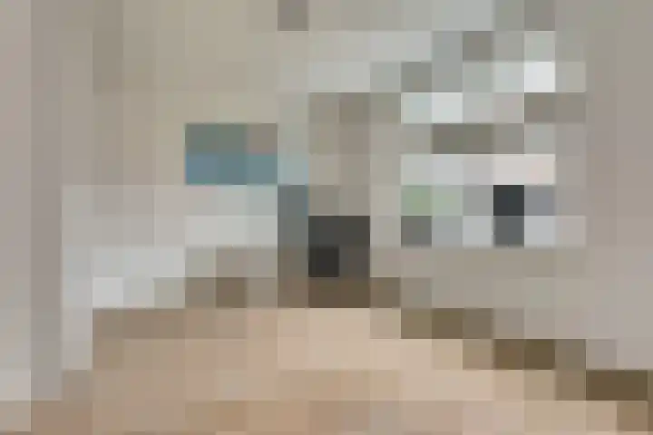 Ticheldreef 131 Druten thumbnail 26