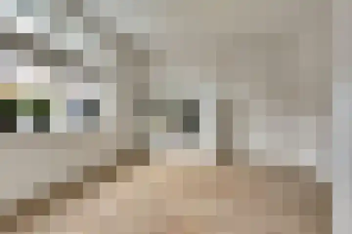 Ticheldreef 131 Druten thumbnail 27