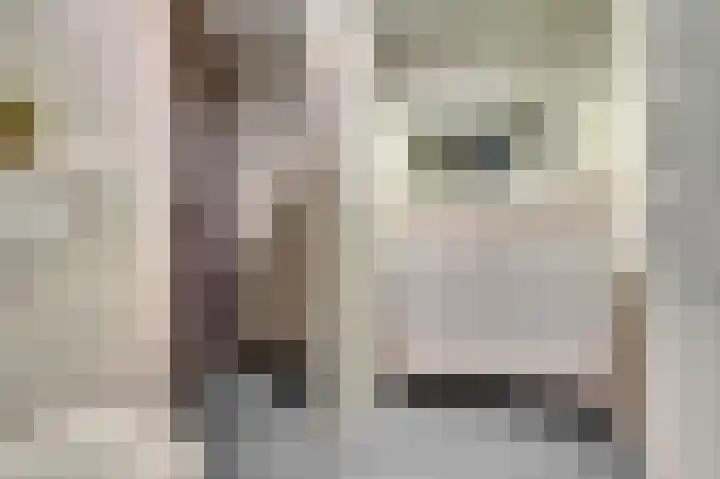 Ticheldreef 131 Druten thumbnail 28