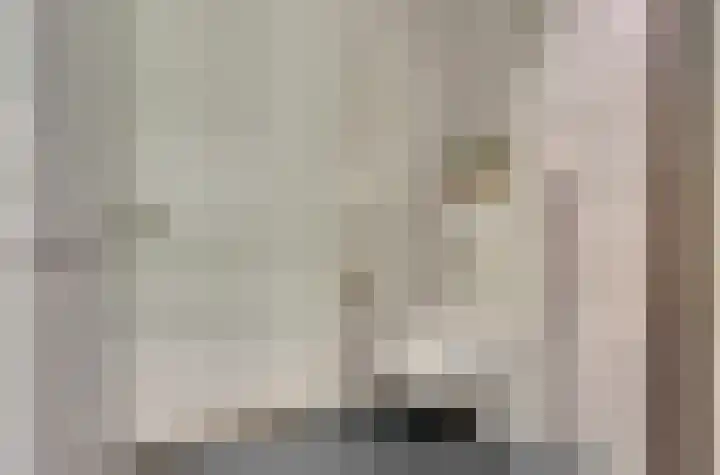 Ticheldreef 131 Druten thumbnail 29