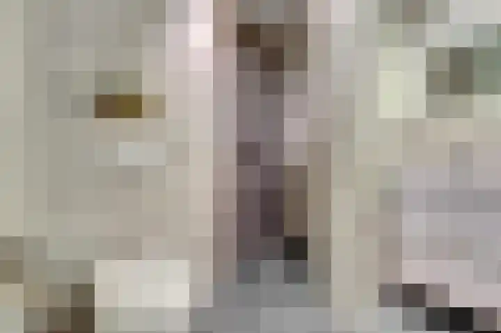 Ticheldreef 131 Druten thumbnail 30