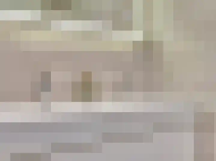 Ticheldreef 131 Druten thumbnail 31