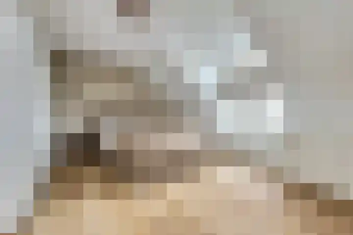 Ticheldreef 131 Druten thumbnail 34