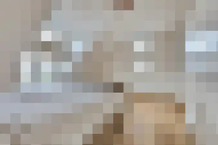 Ticheldreef 131 Druten thumbnail 36