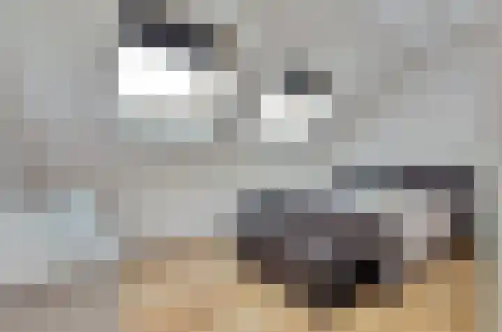 Ticheldreef 131 Druten thumbnail 37