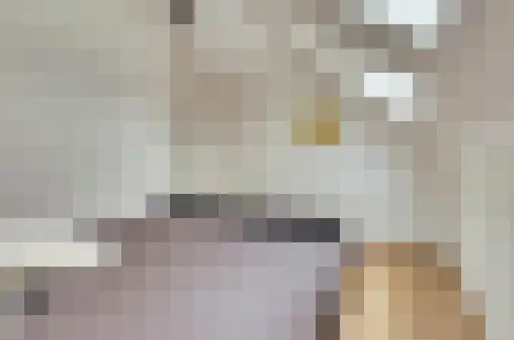 Ticheldreef 131 Druten thumbnail 39