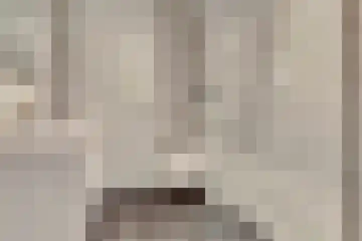 Ticheldreef 131 Druten thumbnail 42
