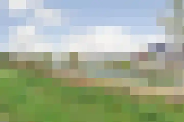 Ticheldreef 131 Druten thumbnail 51