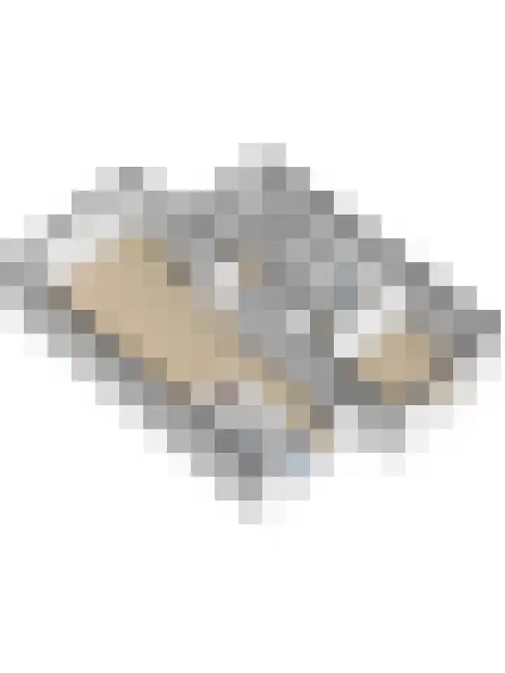 Ticheldreef 131 Druten thumbnail 58