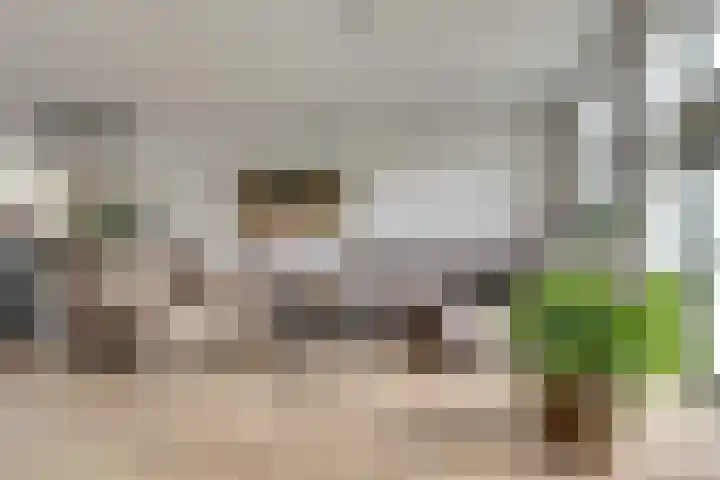 Ticheldreef 131 Druten thumbnail 8