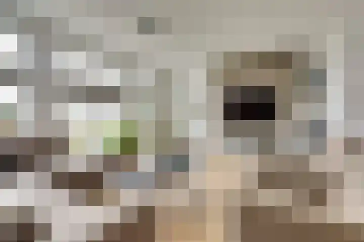 Ticheldreef 131 Druten thumbnail 9