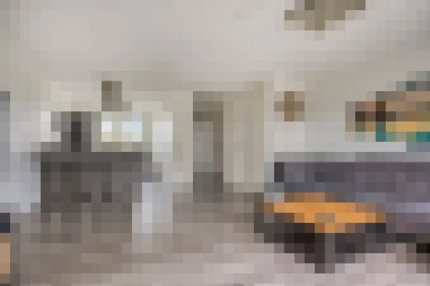 Ticheldreef 22 Druten thumbnail 11