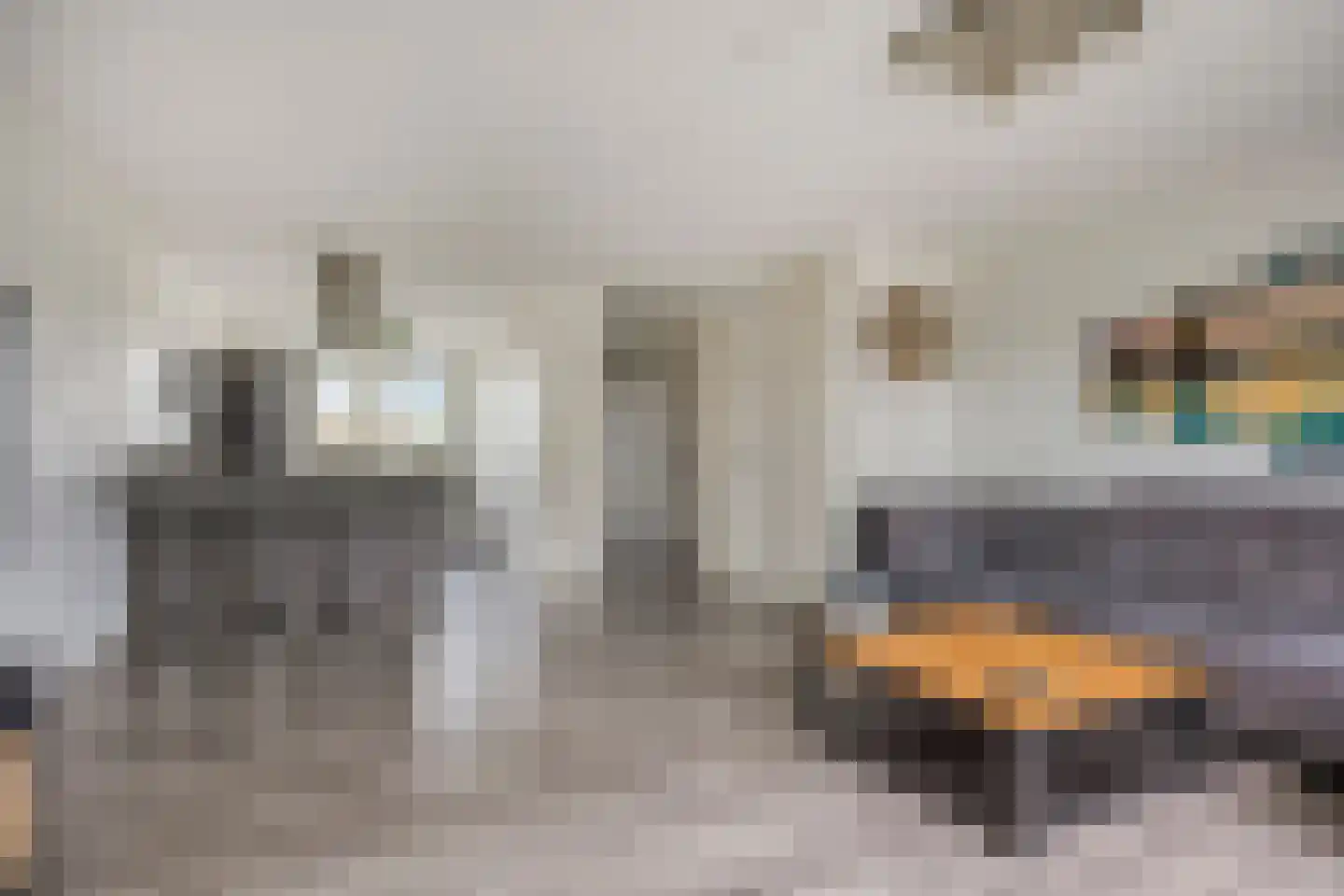 Ticheldreef 22 Druten thumbnail 12