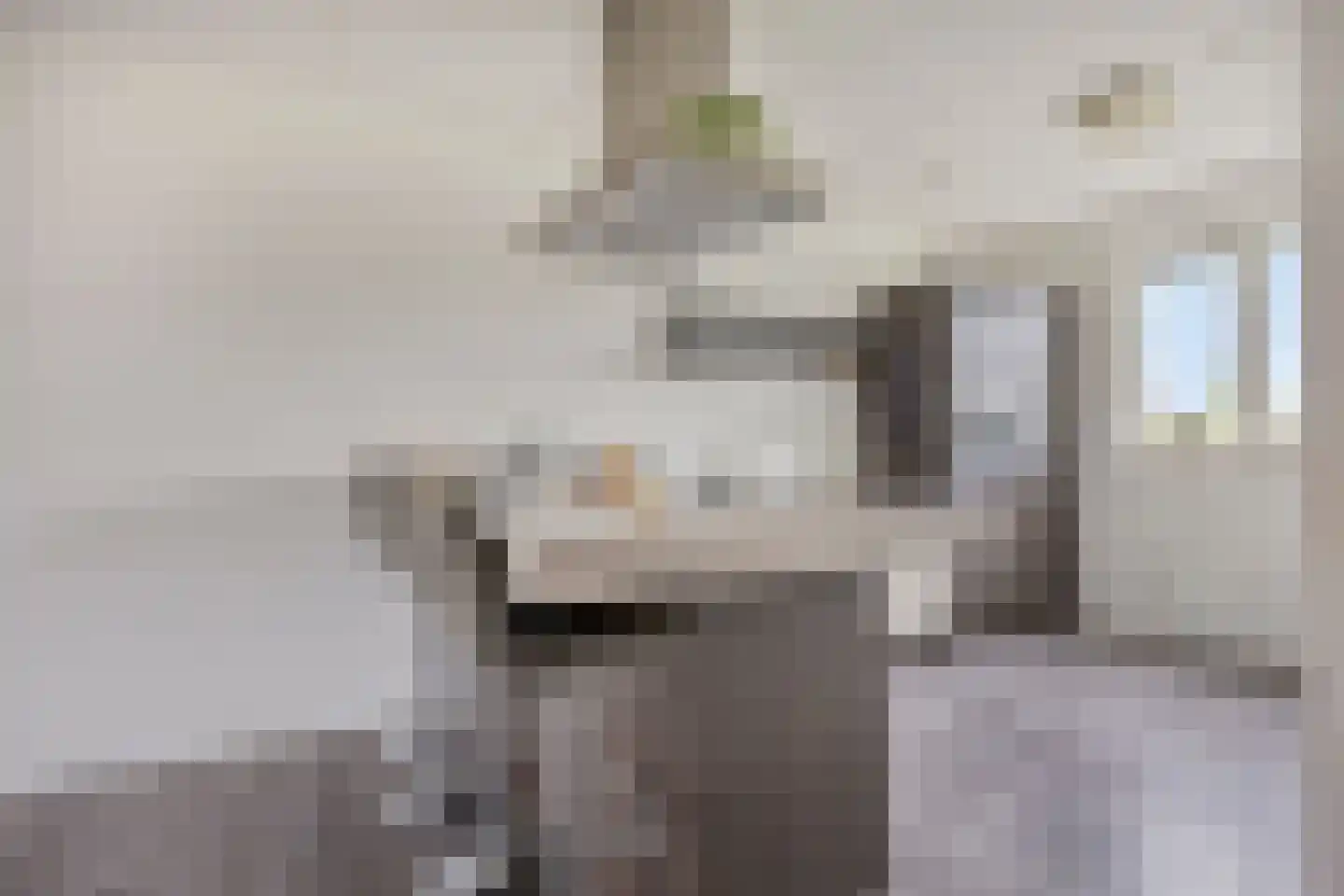 Ticheldreef 22 Druten thumbnail 13