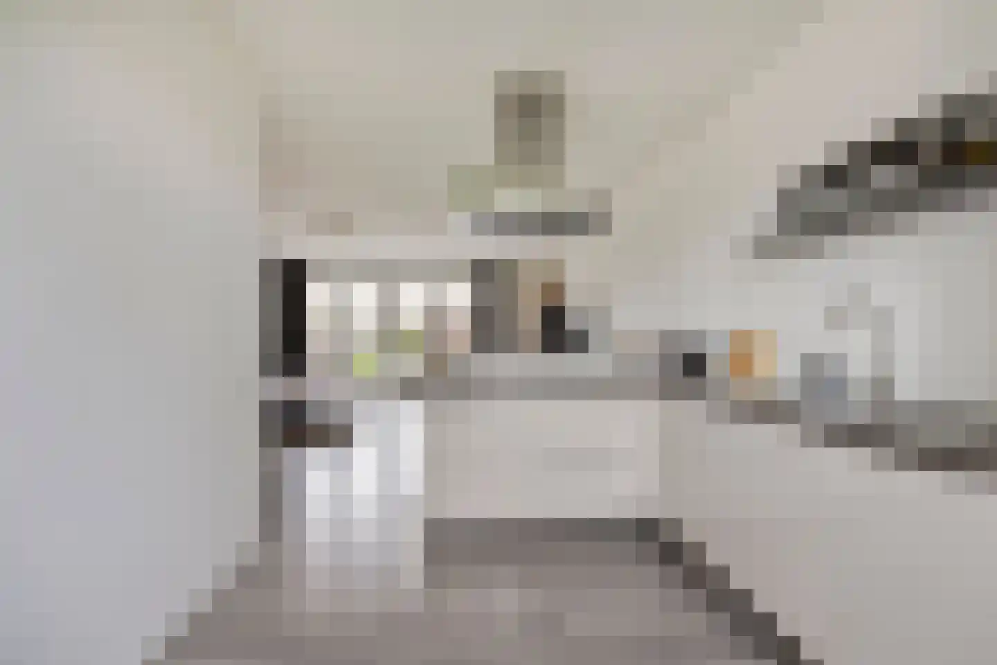 Ticheldreef 22 Druten thumbnail 14