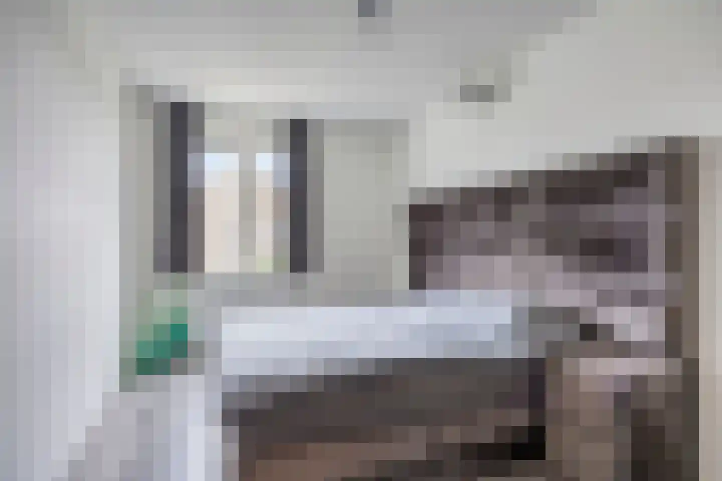 Ticheldreef 22 Druten thumbnail 18
