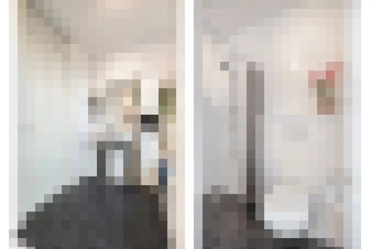 Ticheldreef 22 Druten thumbnail 18