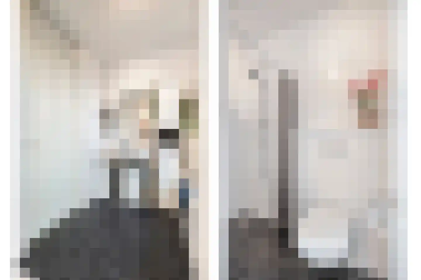Ticheldreef 22 Druten thumbnail 19