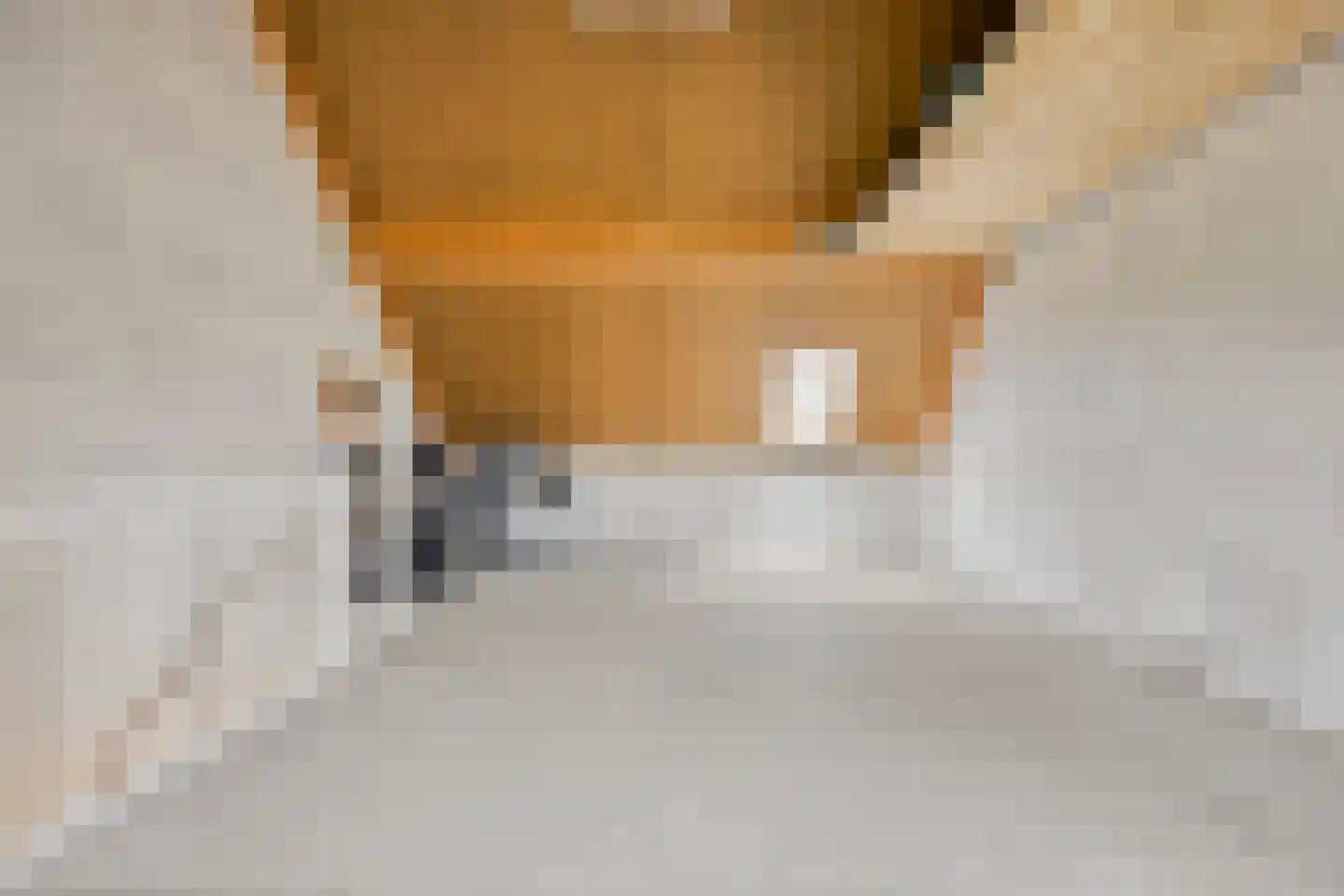Ticheldreef 22 Druten thumbnail 24