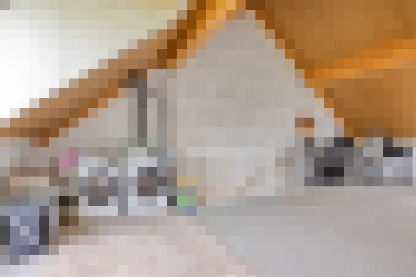 Ticheldreef 22 Druten thumbnail 25