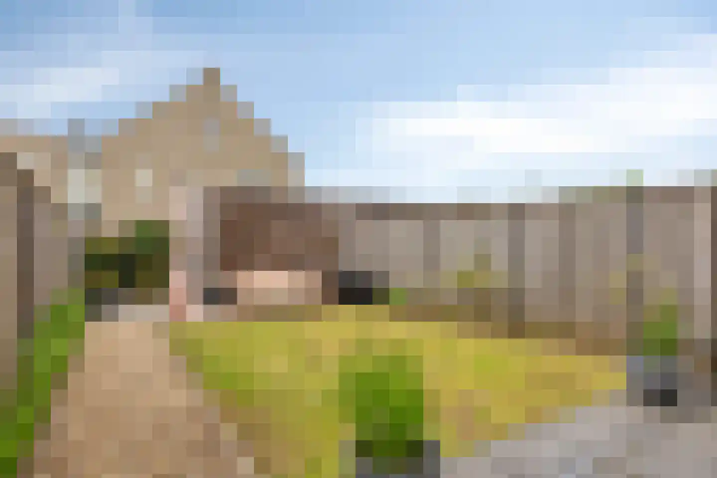 Ticheldreef 22 Druten thumbnail 26