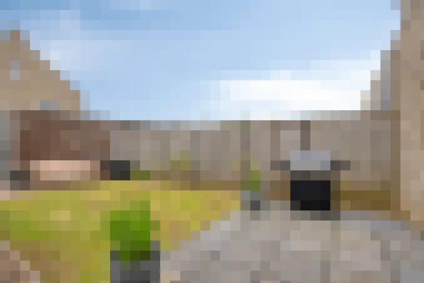 Ticheldreef 22 Druten thumbnail 28