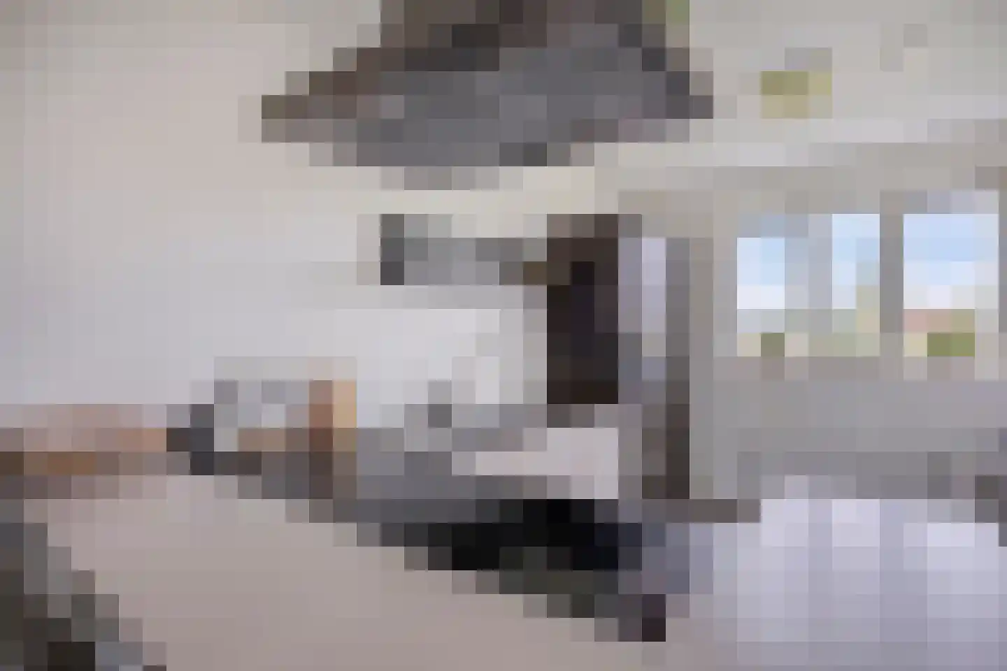 Ticheldreef 22 Druten thumbnail 4