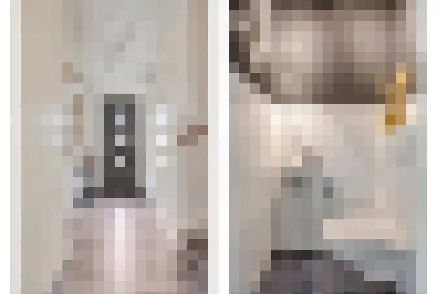 Ticheldreef 22 Druten thumbnail 9
