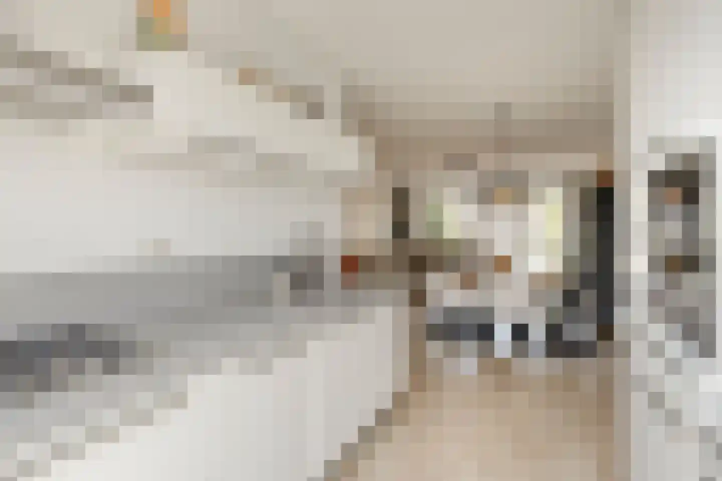 Ticheldreef 61 Druten thumbnail 13