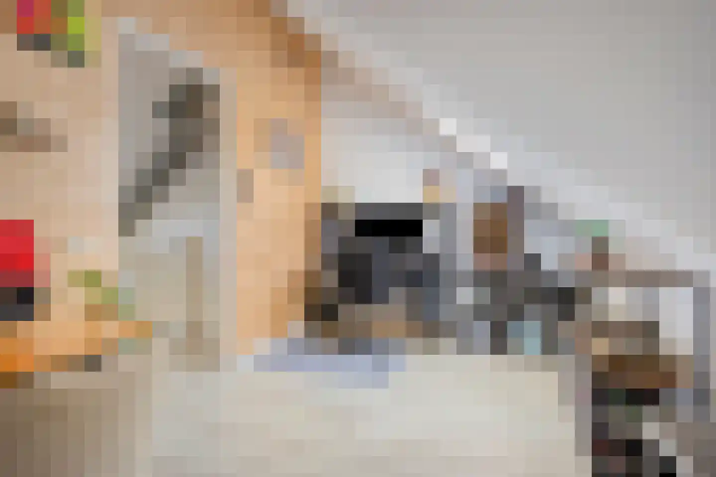 Ticheldreef 61 Druten thumbnail 28