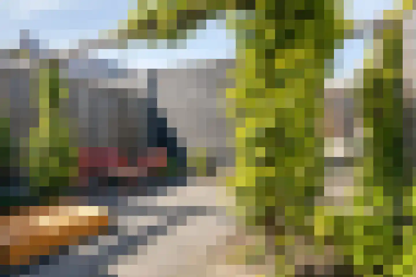 Ticheldreef 61 Druten thumbnail 29