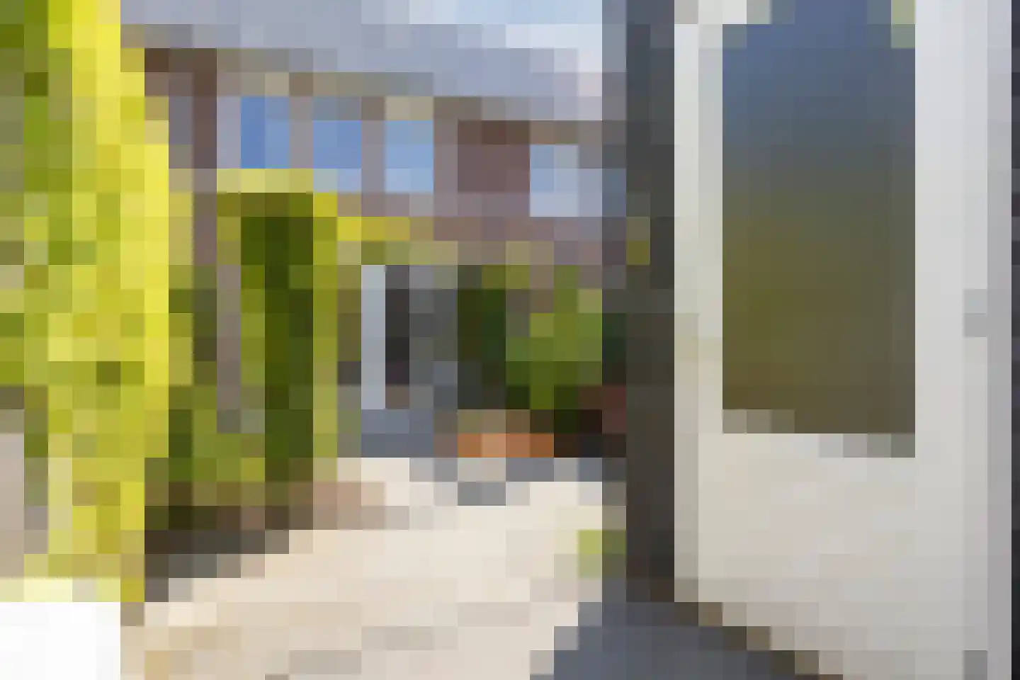 Ticheldreef 61 Druten thumbnail 32