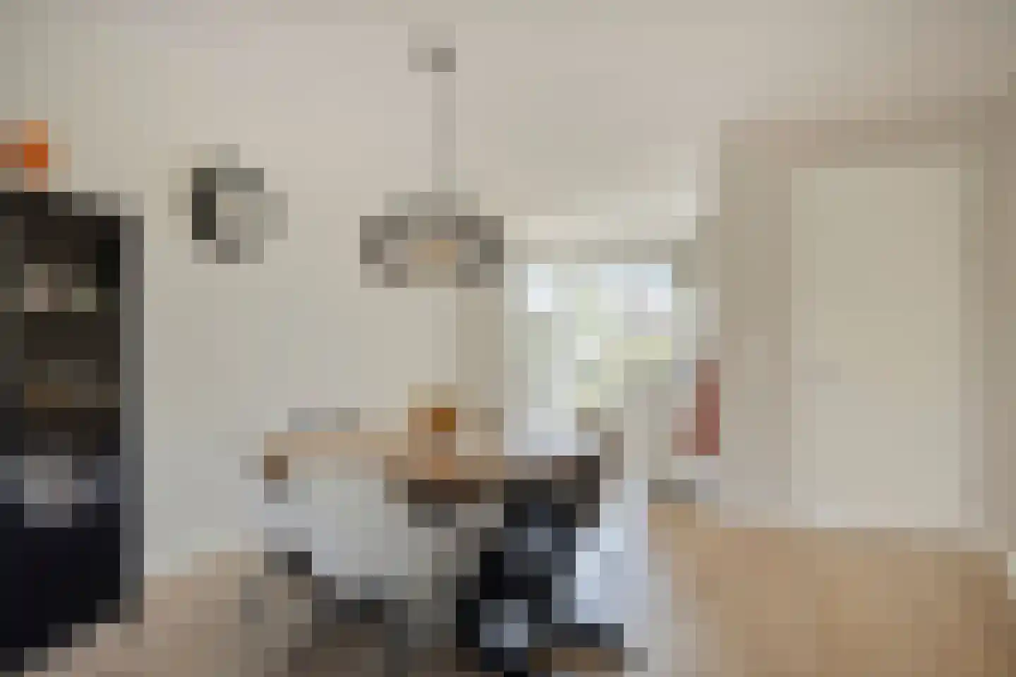 Ticheldreef 61 Druten thumbnail 9