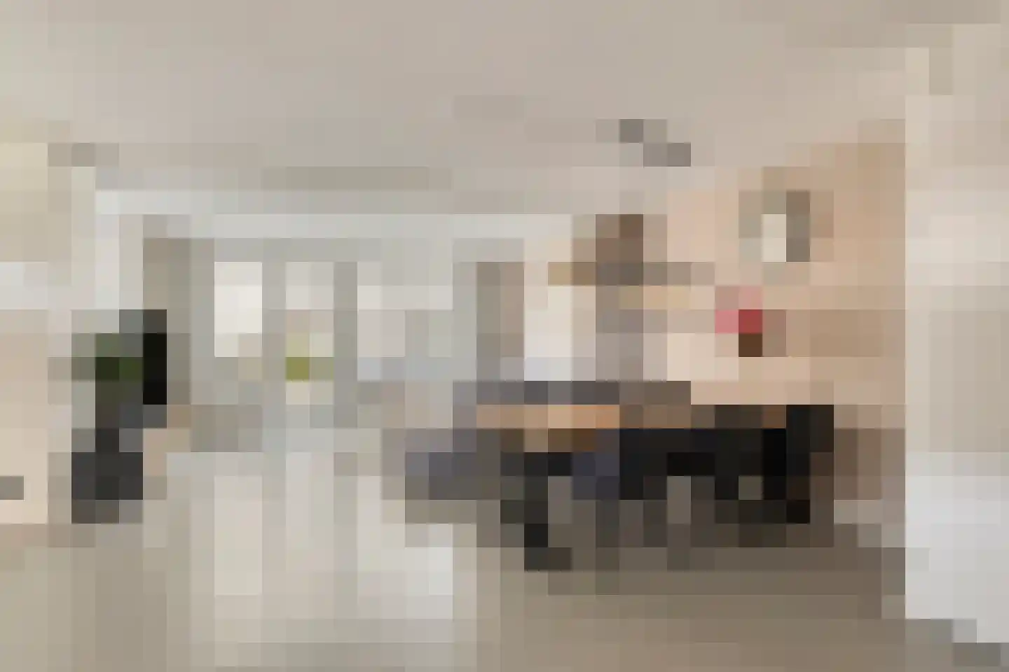 Ticheldreef 64 Druten thumbnail 10