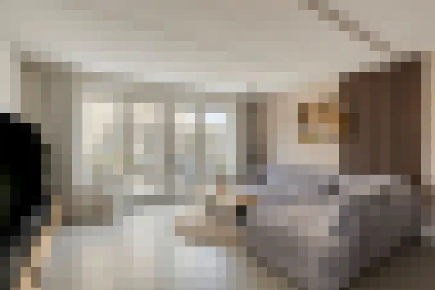 Ticheldreef 64 Druten thumbnail 11