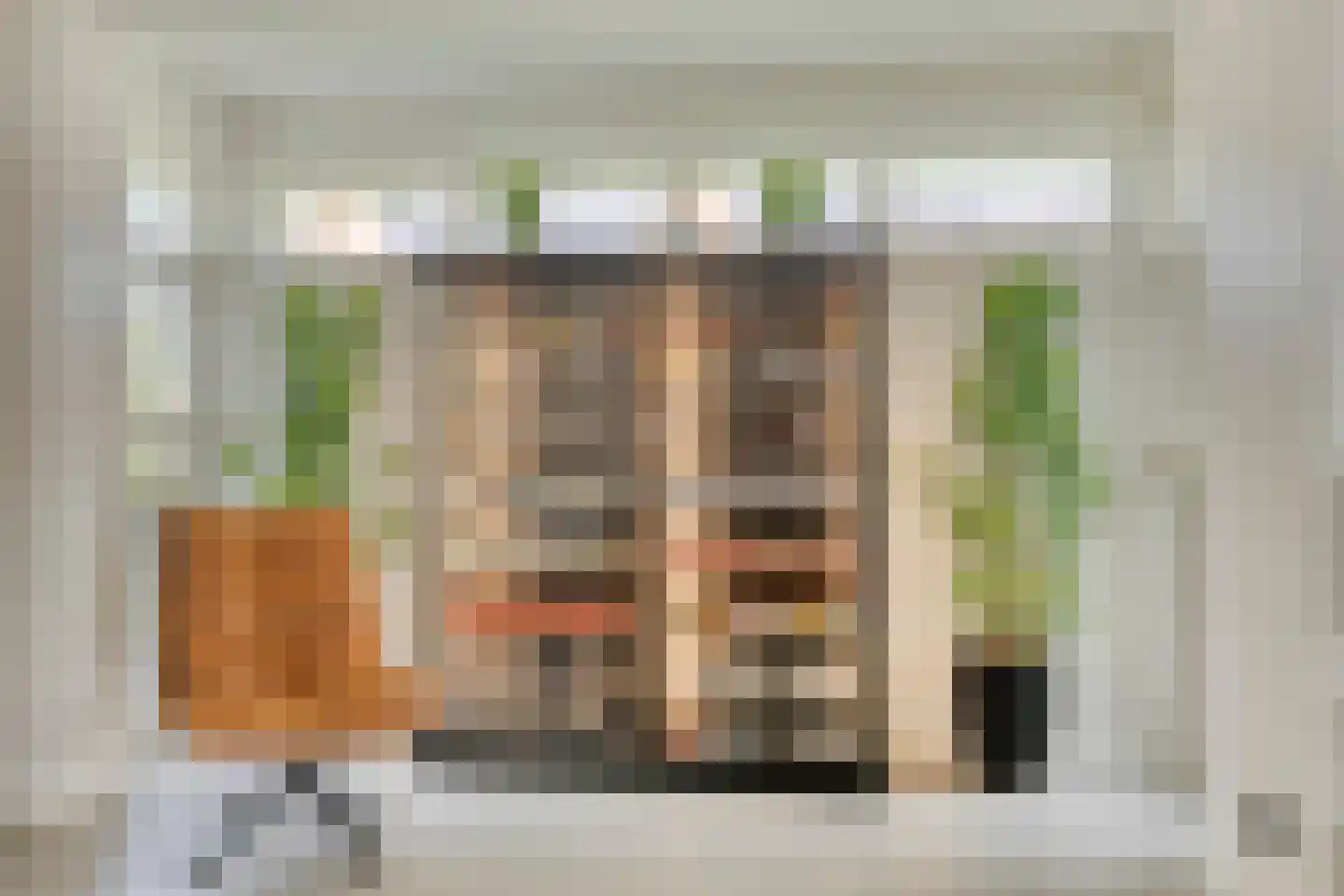 Ticheldreef 64 Druten thumbnail 15