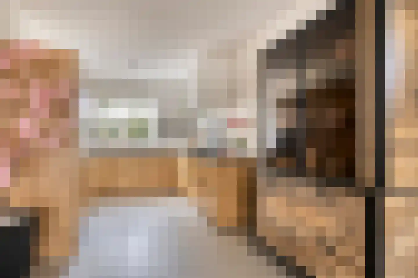 Ticheldreef 64 Druten thumbnail 17
