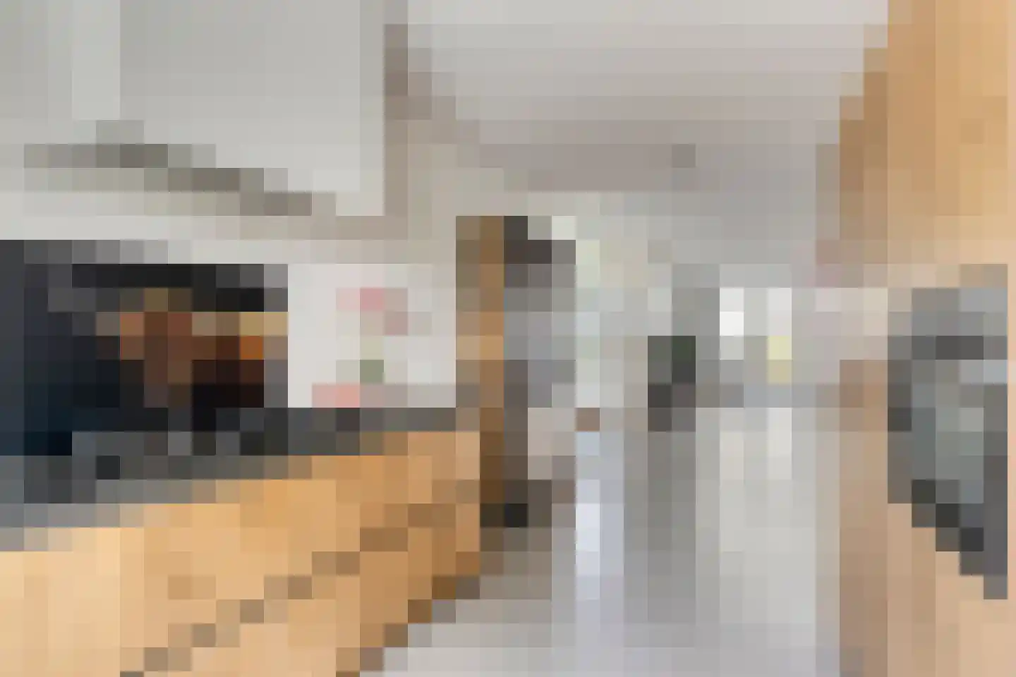 Ticheldreef 64 Druten thumbnail 20