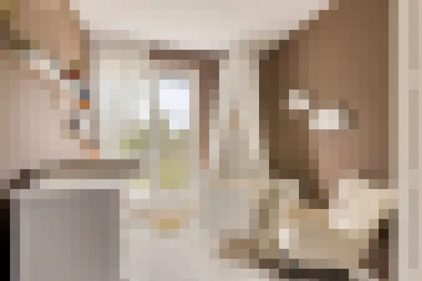 Ticheldreef 64 Druten thumbnail 24