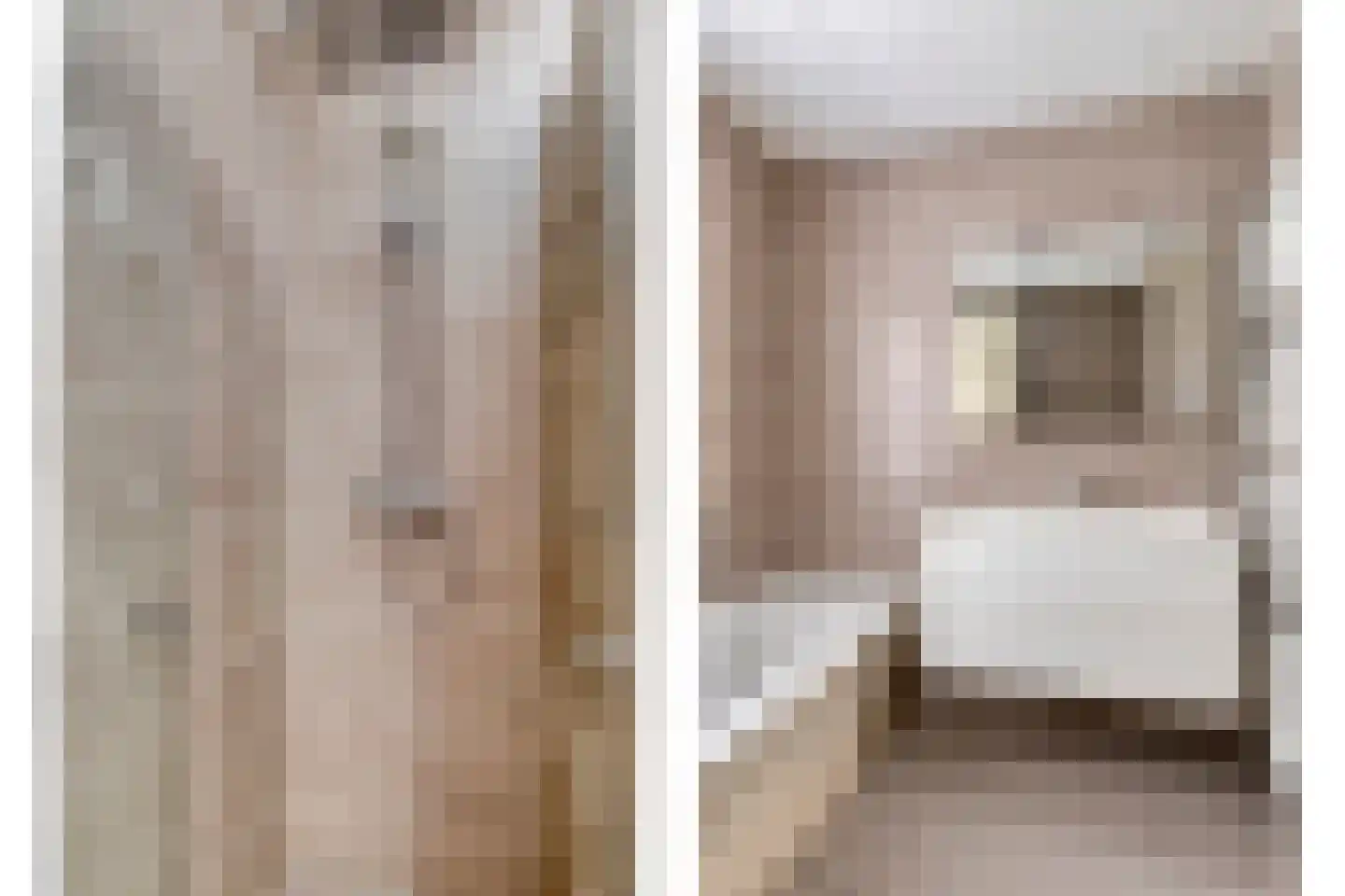 Ticheldreef 64 Druten thumbnail 30