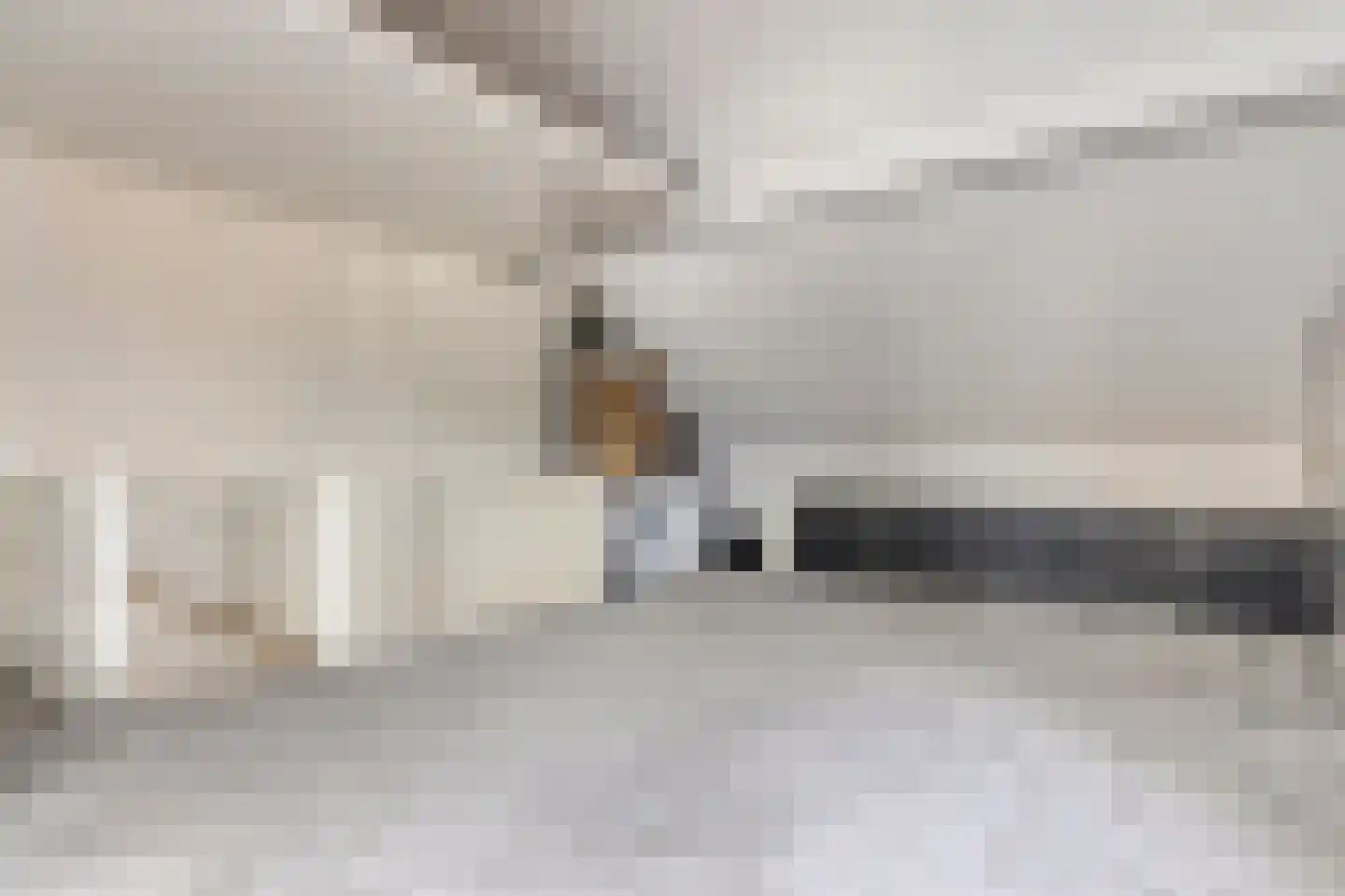 Ticheldreef 64 Druten thumbnail 32